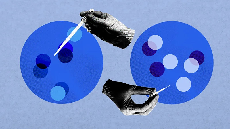 美国试管婴儿与泰国辅助生殖的科技突围：在不确定中寻找确定性的科学远征